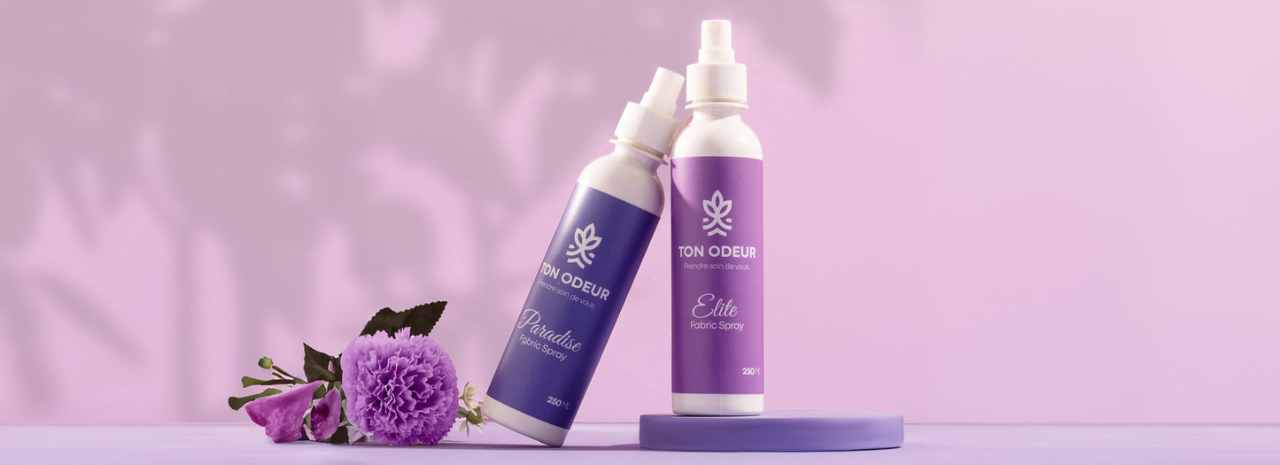 Paradise and Élite