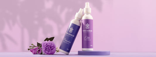 Paradise and Élite